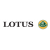 Lotus Design 1